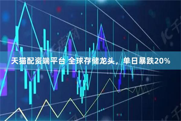 天猫配资端平台 全球存储龙头，单日暴跌20%