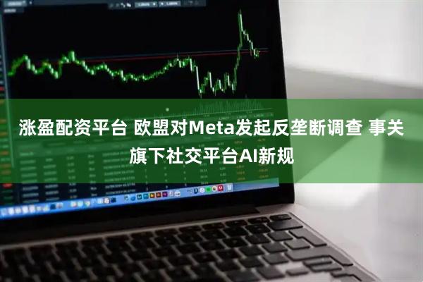 涨盈配资平台 欧盟对Meta发起反垄断调查 事关旗下社交平台AI新规